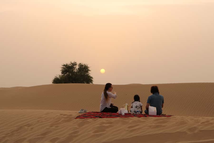Dubai: Sunrise Desert Jeep Safari with Wildlife Experience - Arabian Oryx feeding station: wildlife you can plan for