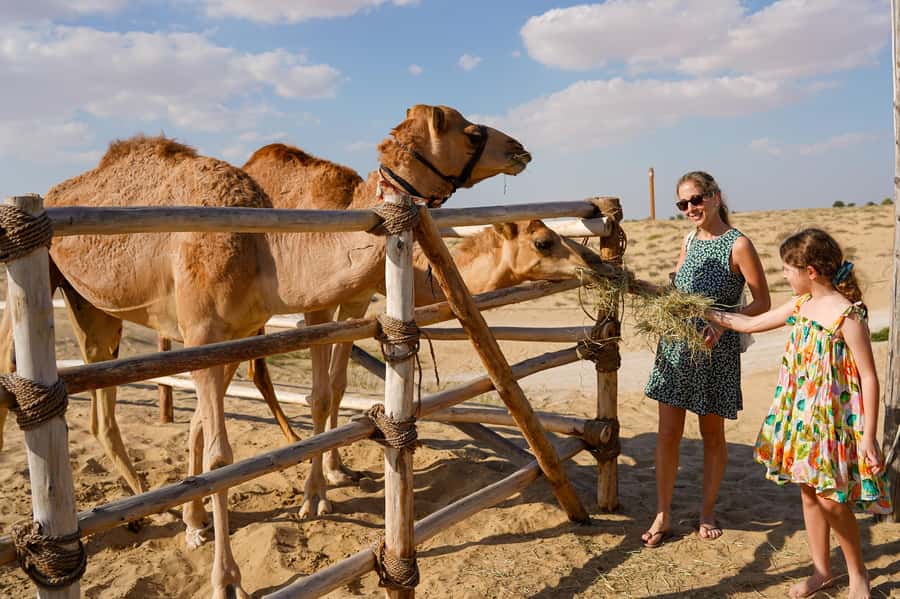 Dubai: Sunset Camel Trek, Al Khayma Camp, Stargazing & BBQ - Sunset Camel Trek in Dubai: What the Evening Really Feels Like