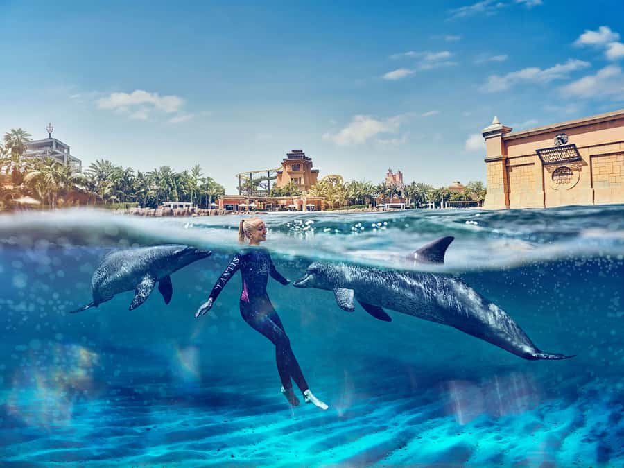 Dubai: Swim with Dolphins at Atlantis Waterpark - Atlas Village Check-In: Where the Day Starts