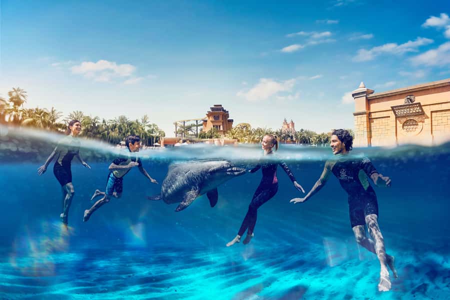 Dubai: Swim with Dolphins at Atlantis Waterpark - The 15-Minute Orientation: How They Set Expectations
