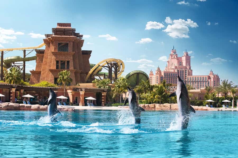 Dubai: Swim with Dolphins at Atlantis Waterpark - The Dolphin Hug, the Underwater Moments, and the Show
