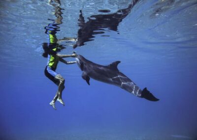 Dubai: Swim with Dolphins at Atlantis Waterpark - Dolphin Bay in 3-Meter Water: What You Really Do