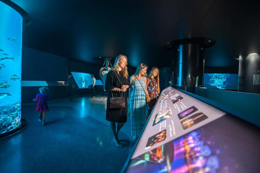 Dubai: The View At The Palm Observatory Entry Ticket - The View Exhibition: a smarter start than rushing upstairs