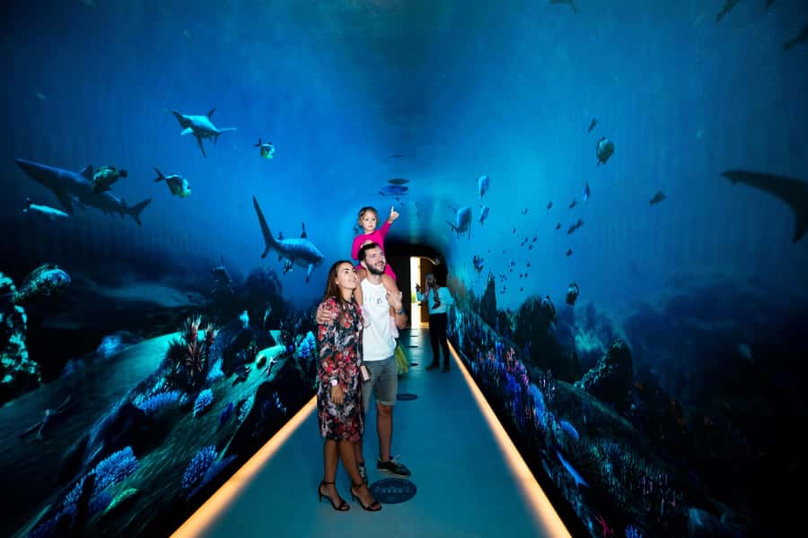 Dubai: The View At The Palm Observatory Entry Ticket - Timing in Dubai: when to go for clear skies and fewer headaches