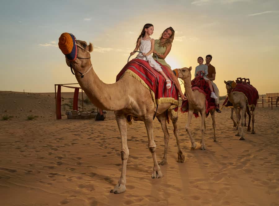 Dubai’s Best Desert Safari: Live Show & Gourmet BBQ Dinner - From Dubai pickup to Lahbab dunes: how this day starts