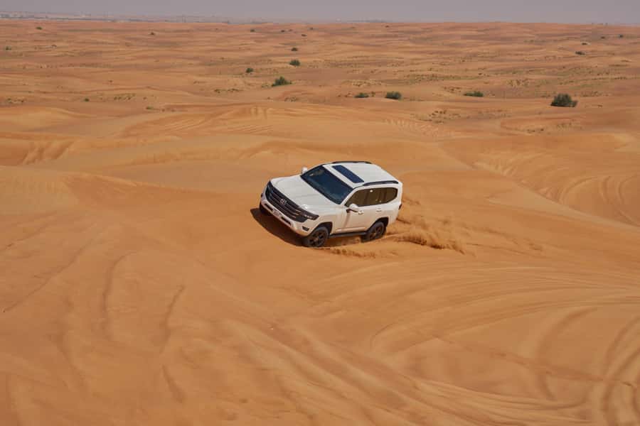 Dubai’s Best Desert Safari: Live Show & Gourmet BBQ Dinner - Price and value: is $126 really a fair deal?