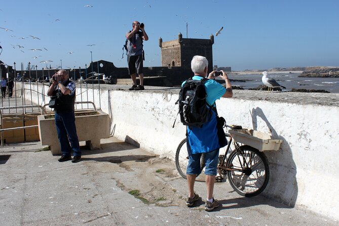 Essaouira Day Trip from Marrakech - The Fish Market + Port Walk: What’s Worth Seeing in 1 Hour