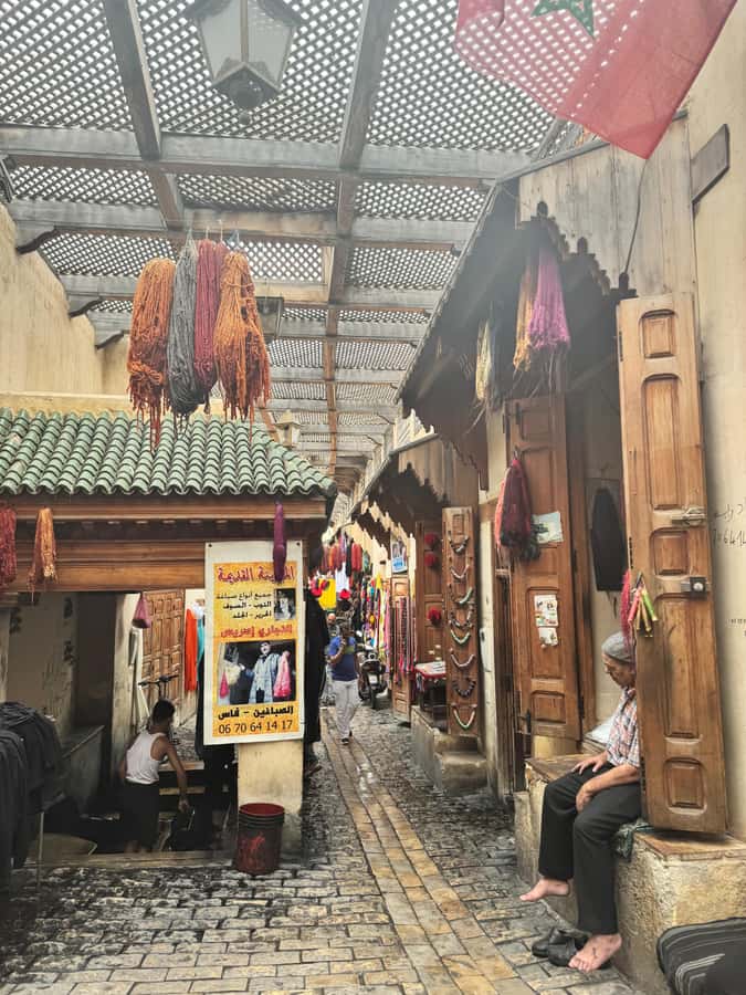 Fes: Museum, Al Attarine Madrasa & Tannery and Medina Tour - Pace, timing, and how to handle the Medina like a pro