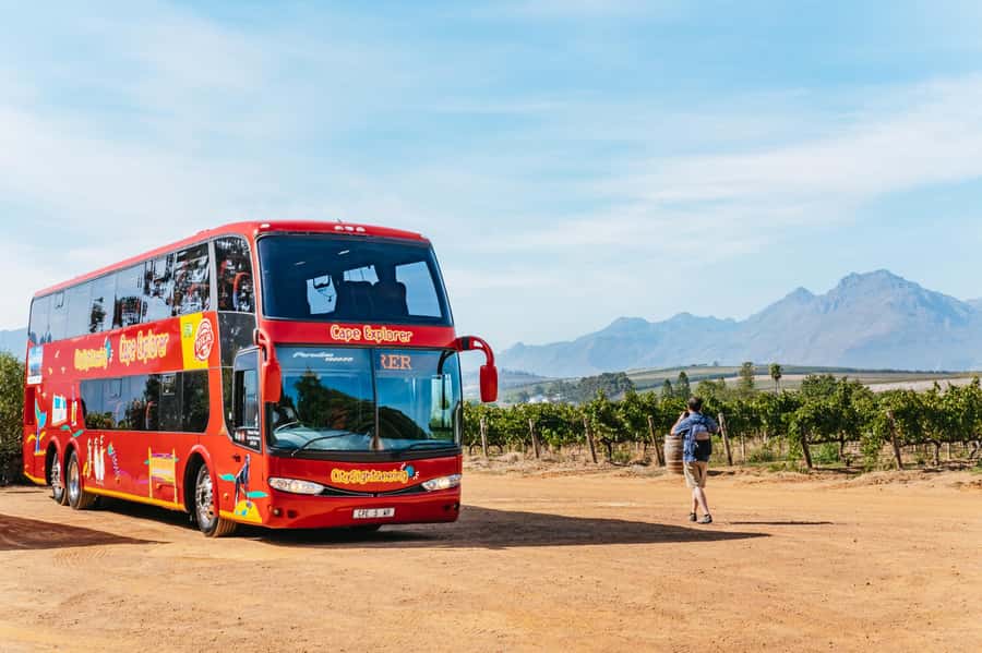 From Cape Town: 3 Regions Wine Tour with 3 Estates, 15 Wines - Start Strong: pickup times, the coach, and the day’s rhythm