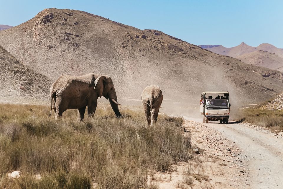 From Cape Town: Big Five Game Reserve with Lunch - FAQ