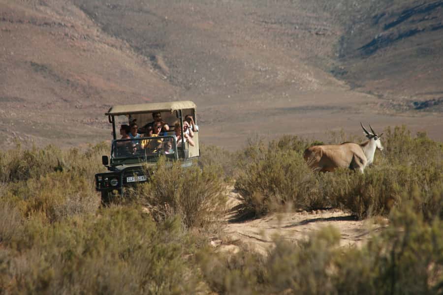 From Cape Town: Big Five Game Reserve with Lunch - The drive to Aquila: long enough for views, short enough for comfort