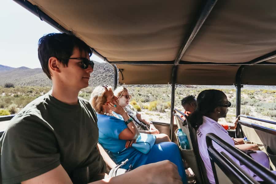 From Cape Town: Big Five Game Reserve with Lunch - Lunch at the lodge: included buffet, plus the value of not rushing