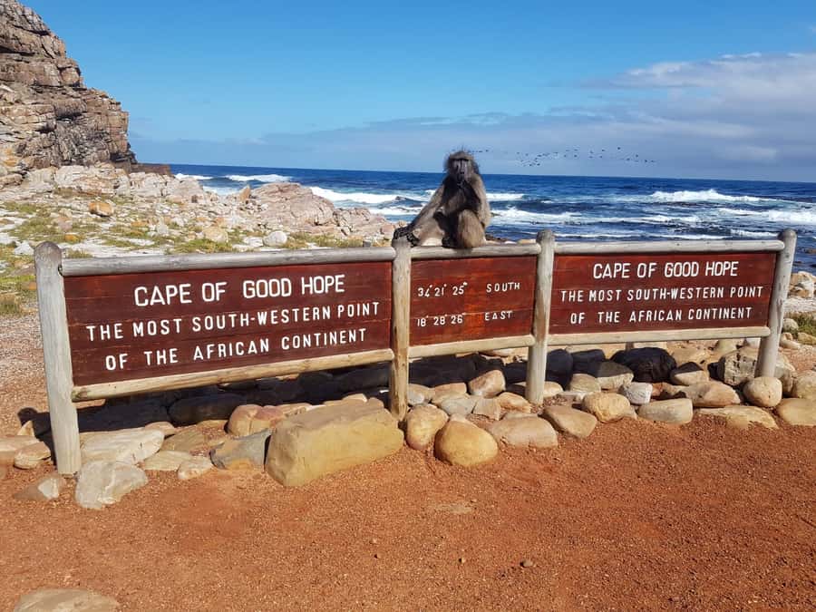 From Cape Town: Cape Point and Boulders Beach Full-Day Tour - Who This Tour Fits Best (and Who Should Skip It)