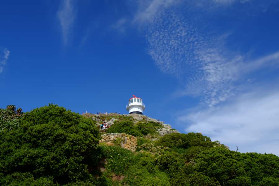 From Cape Town: Cape Point & Boulders Beach Full-Day Tour - Hout Bay Harbour and the Seal Trip Option