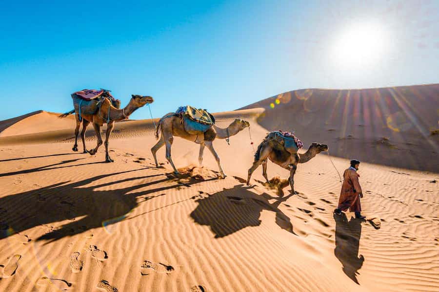 From Fes to Marrakech: 3-Day Sahara Desert Discovery Tour - Day 1: From Fes Through Ifrane, Azrou, the Ziz Valley, to Merzouga