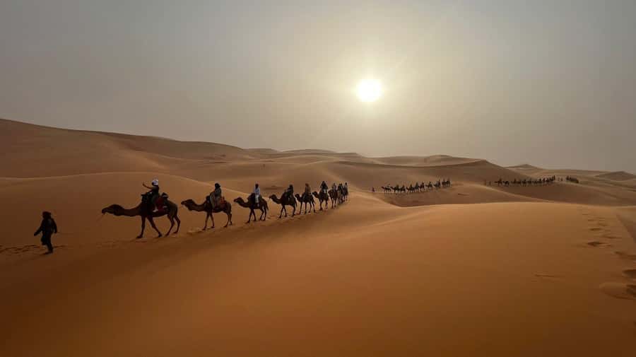 From Fes to Marrakech: 3-Day Sahara Desert Discovery Tour - The Guides and Drivers Make or Break It