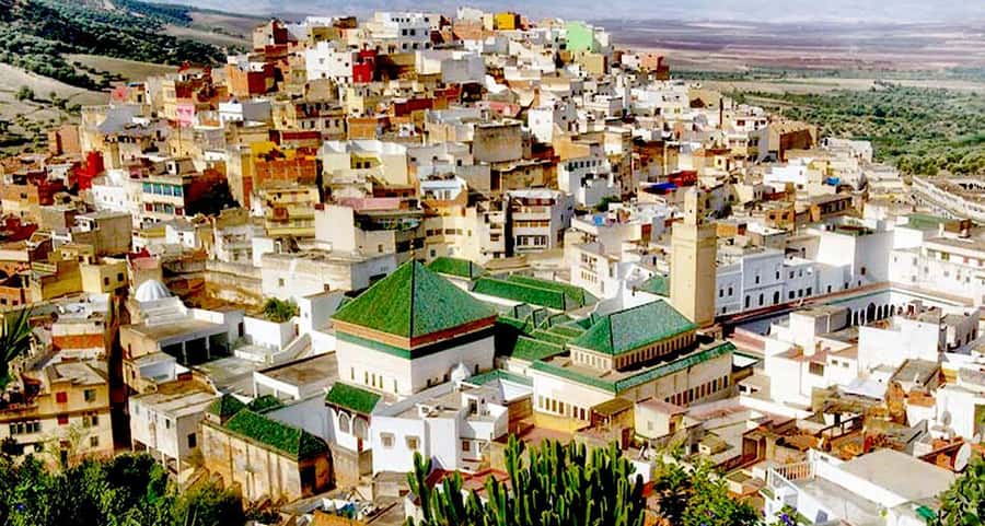 From Fes: Volubilis, Moulay Idriss, & Meknes Full-Day Trip - Key things to know before you go