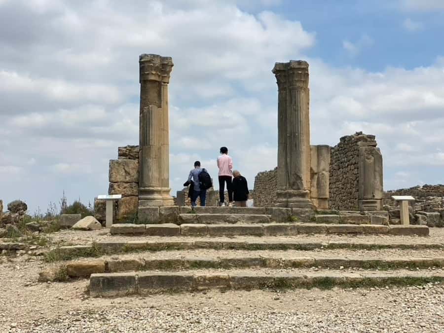 From Fes: Volubilis, Moulay Idriss, & Meknes Full-Day Trip - Fes to Volubilis: the practical start that sets the tone