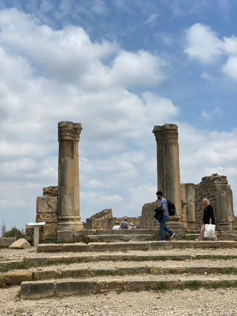 From Fes: Volubilis, Moulay Idriss, & Meknes Full-Day Trip - Driver-led narration: the difference between a bus ride and a day that makes sense