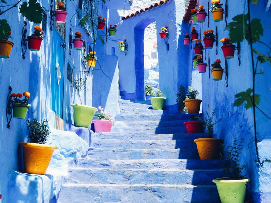 From Fez: Day Tour to the Blue Town of Chefchaouen - Fez to Chefchaouen: the long mountain drive you can’t skip