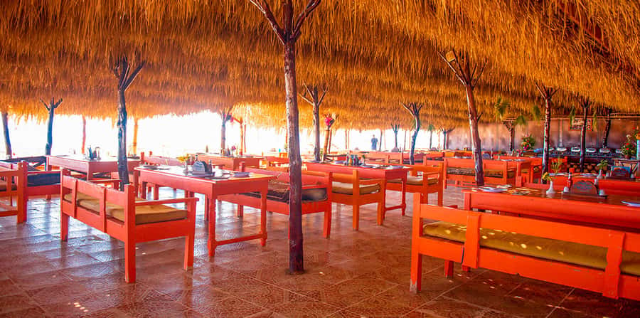 From Hurghada: Paradise Island Snorkeling Cruise with Lunch - Price and value: why around $30 can work (and when it might not)