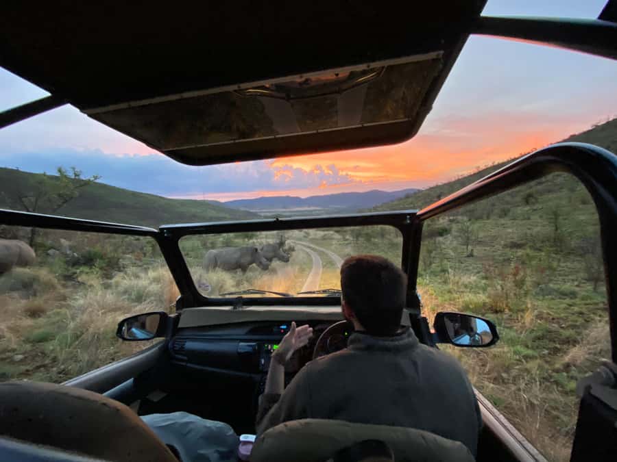 From Johannesburg: Pilanesberg Nature Reserve Game Safari - Key Things That Make This Pilanesberg Safari Different