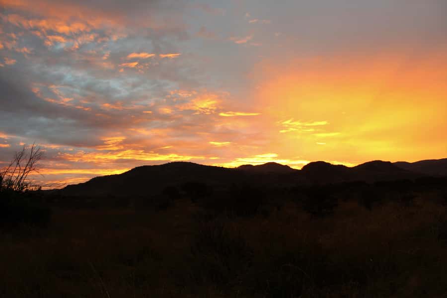 From Johannesburg: Pilanesberg Nature Reserve Game Safari - Lunch at the Rest Camp: Fuel With a Water-Hole View