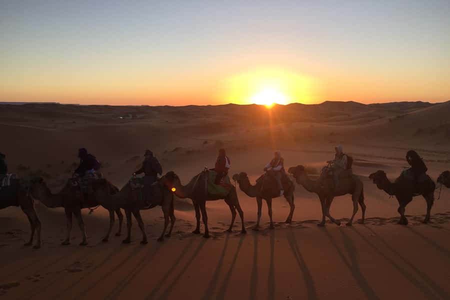 From Marrakech: 2-Day Sahara Tour to Zagora & Ait Ben Haddou - Drâa Valley photo stops: palm groves, ksour, and the “real Morocco” feeling