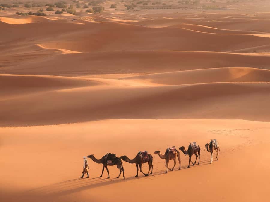 From Marrakech: 3-Day Merzouga and Sahara Desert Tour - Quick take on this Marrakech to Merzouga 3-day desert tour