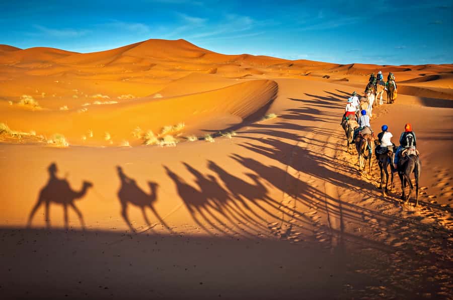 From Marrakech: 3-Day Merzouga and Sahara Desert Tour - Price and value at $134: what you’re getting and what you’ll still need to budget