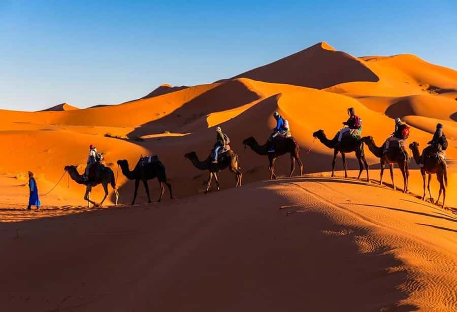 From Marrakech: 3-Day Sahara Desert Adventure to Fes - From Marrakech at 7:00 AM: your High Atlas warm-up