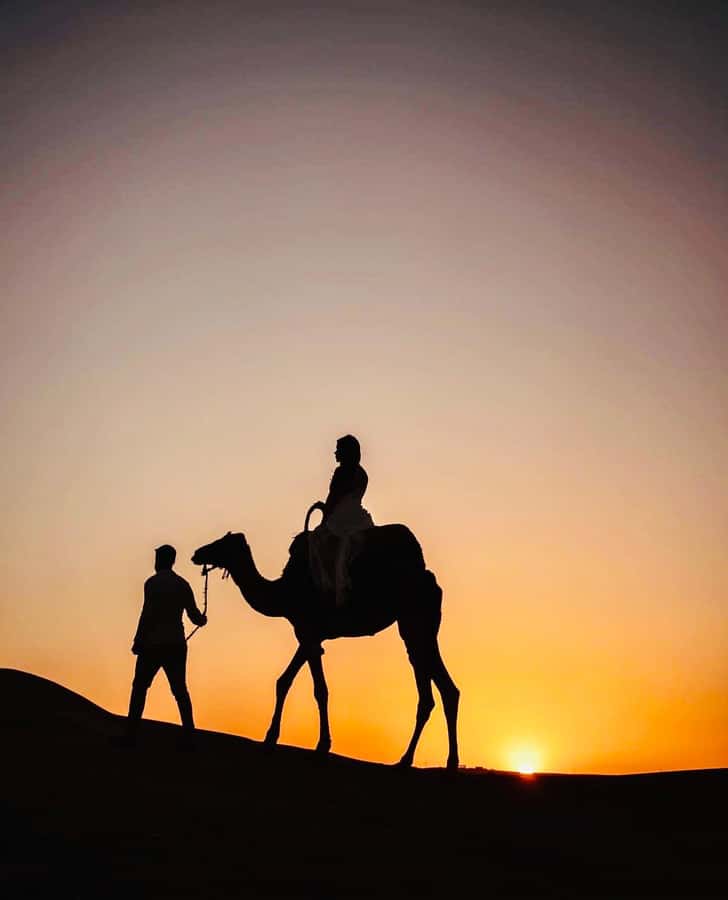 From Marrakech: Agafay Desert Dinner and Optional Camel Ride - Stargazing After Dinner: The Part That Gives You the “Night Sky” Payoff
