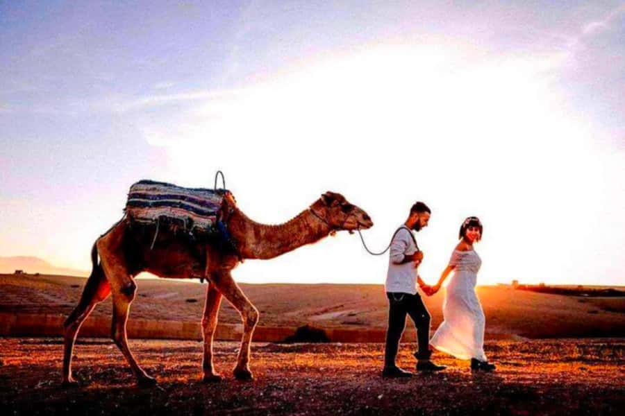 From Marrakech: Agafay Desert Sunset Dinner with Live Show - Price and value: is $27 a fair deal for all this?