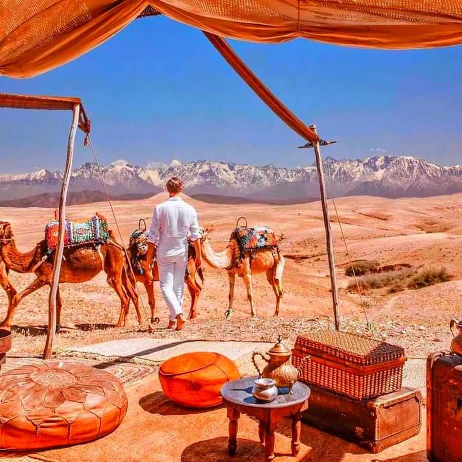 From Marrakech: Agafay Desert Sunset Dinner with Live Show - Marrakech to Agafay Desert: the 30-minute switch to a different pace