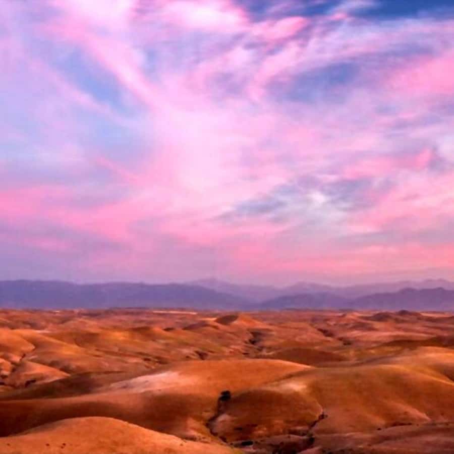 From Marrakech: Agafay Desert Sunset Dinner with Live Show - Berber and Arabian dinner: what’s on the menu and what to expect