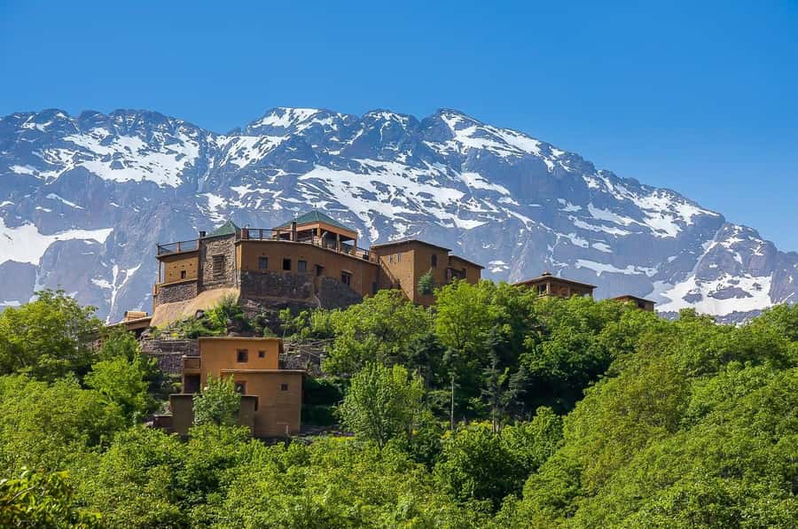 From Marrakech: Atlas Mountains Day Trip with Camel Ride - Quick take: what stands out most