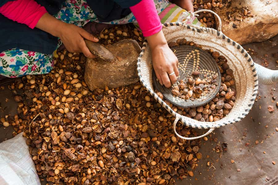 From Marrakech: Atlas Mountains Day Trip with Camel Ride - Argan oil cooperative: real work, real products