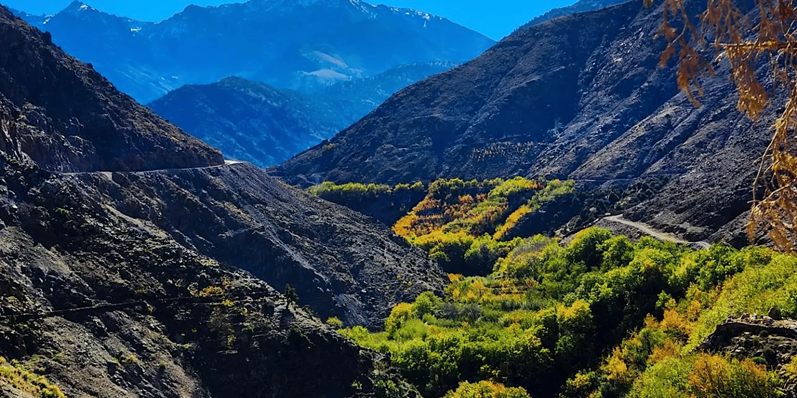 From Marrakech: Atlas Mountains Day Trip with Camel Ride - Walking around the valley and choosing good shoes