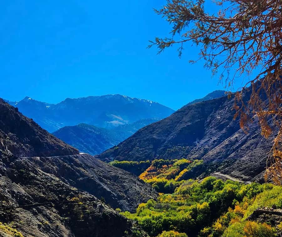 From Marrakech: Atlas Mountains Day Trip with Camel Ride - Lunch in a Berber family guest house at Ait Souka