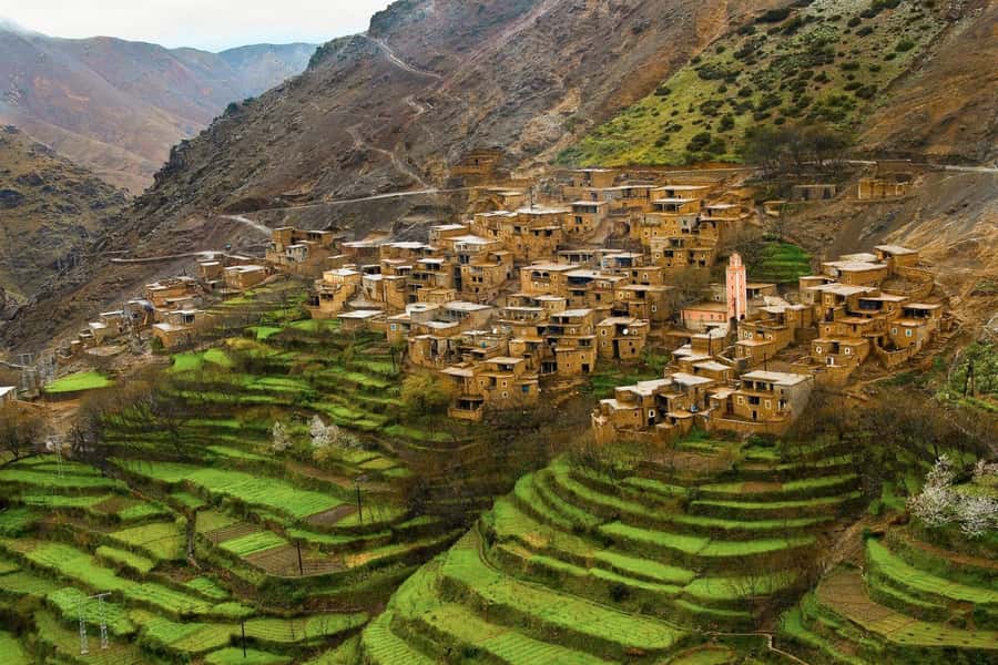 From Marrakech: Atlas Mountains Full-Day Hiking Trip w Lunch - Pickup and van time: the “getting there” part that can make or break the day