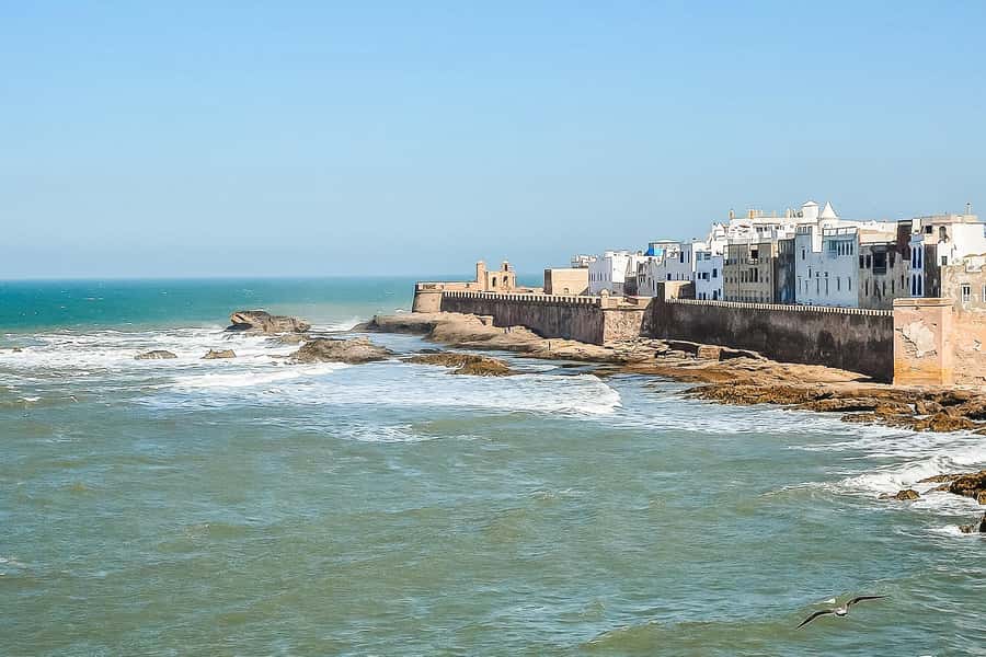 From Marrakech: Essaouira Day Tour with Optional Activities - Who you should be if you book this