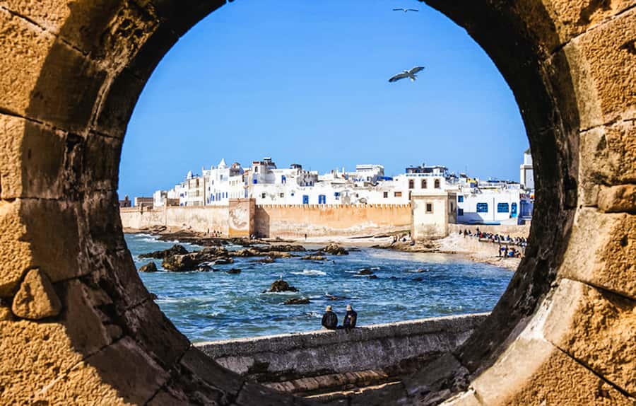 From Marrakech: Essaouira Day Tour with Optional Activities - The argan oil factory visit: what it teaches and what you can expect