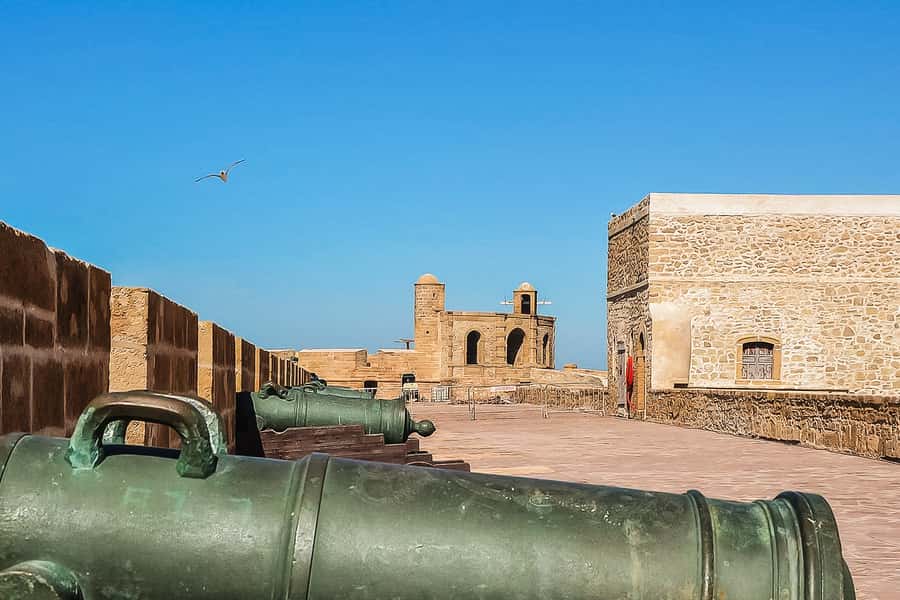 From Marrakech: Essaouira Day Tour with Optional Activities - Essaouira arrival: port-city views and fast orientation