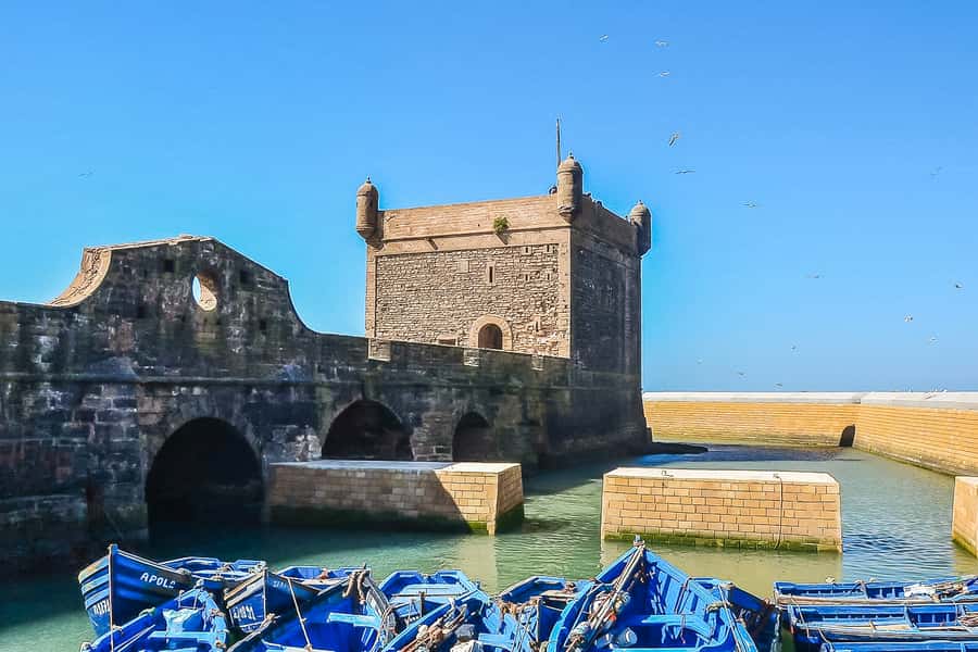 From Marrakech: Essaouira Day Tour with Optional Activities - Optional quad bike, camel, or horse rides: pick your level of action