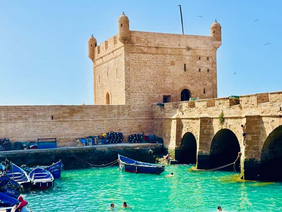 From Marrakech: Essaouira Day Trip with Beach Activities - Argan oil cooperative stop: what you’ll learn in 20 minutes