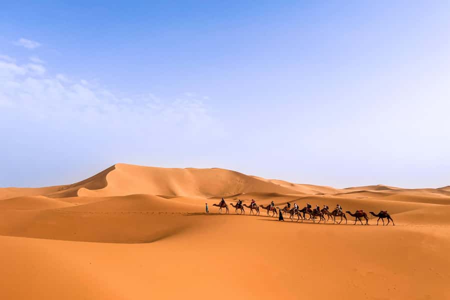 From Marrakech: Merzouga 3-Day Desert Safari with Food - Key Highlights You’ll Actually Feel