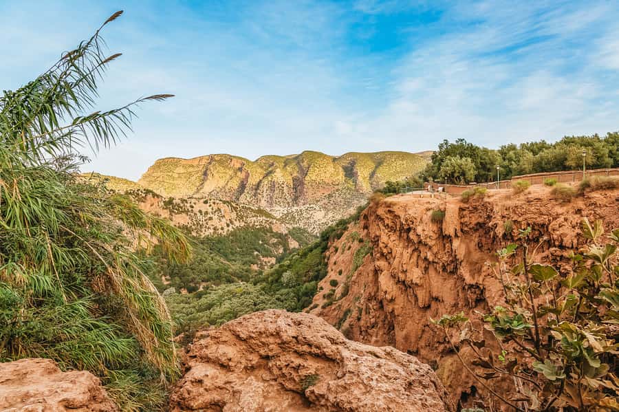 From Marrakech: Ouzoud Waterfalls Guided Hike and Boat Trip - Monkeys near Ouzoud: how to enjoy them without getting pulled around