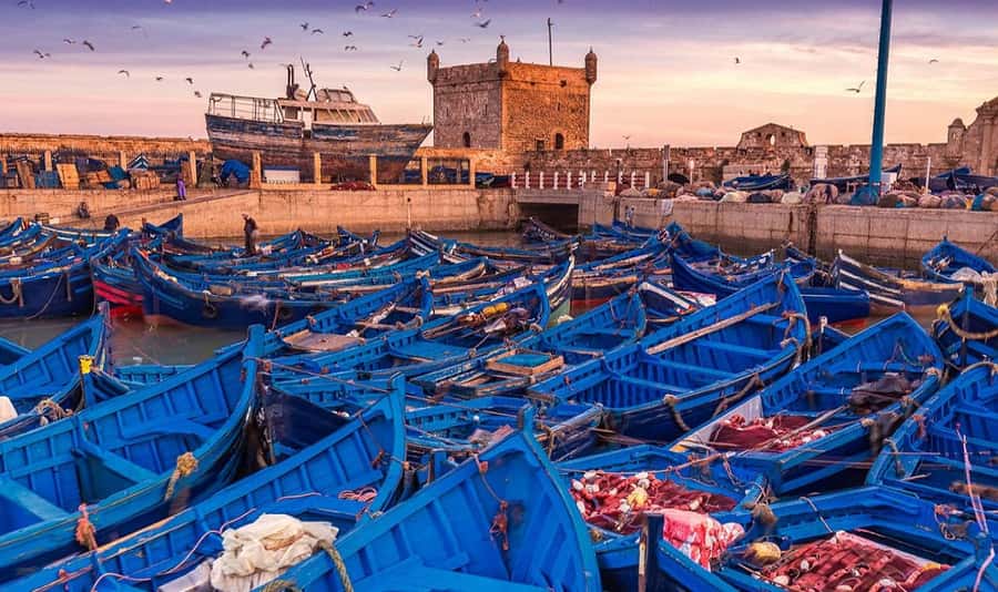 From Marrakech: Small Group to Essaouira & Sekkala Day Trip - Essaouira First Look: Medina Colors, Boat Craft, and Mogador Vibes