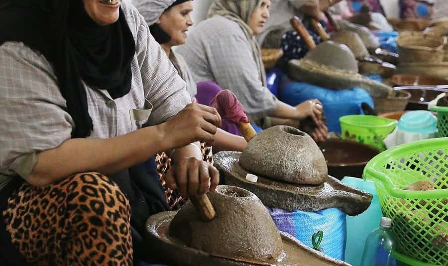 From Marrakech: Small Group to Essaouira & Sekkala Day Trip - Skala de la Kasbah: Ocean Views and the Fishing-Port Scene