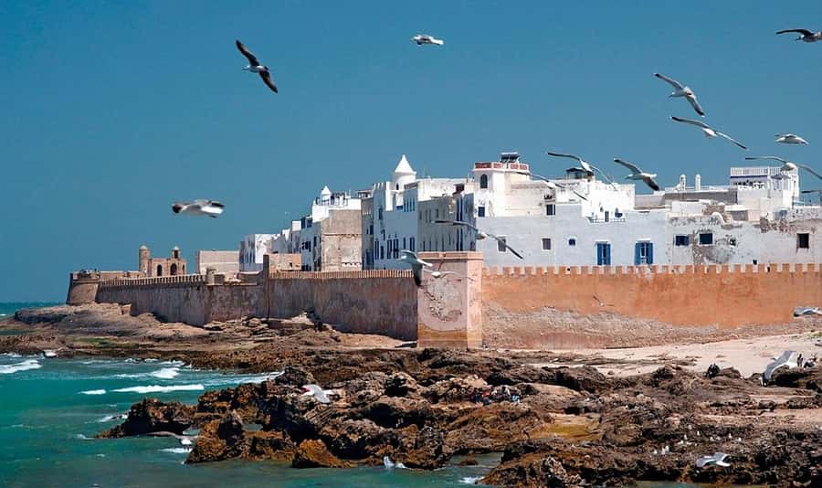 From Marrakech: Small Group to Essaouira & Sekkala Day Trip - Beach and Ramparts Time: Sea Air, Seafood Choices, and Wind-Chill Walking